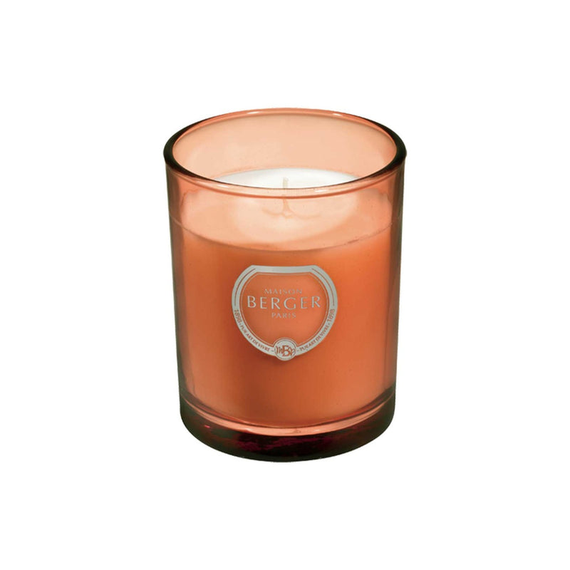Maison Berger Exquisite Sparkle Olympe Candle
#2