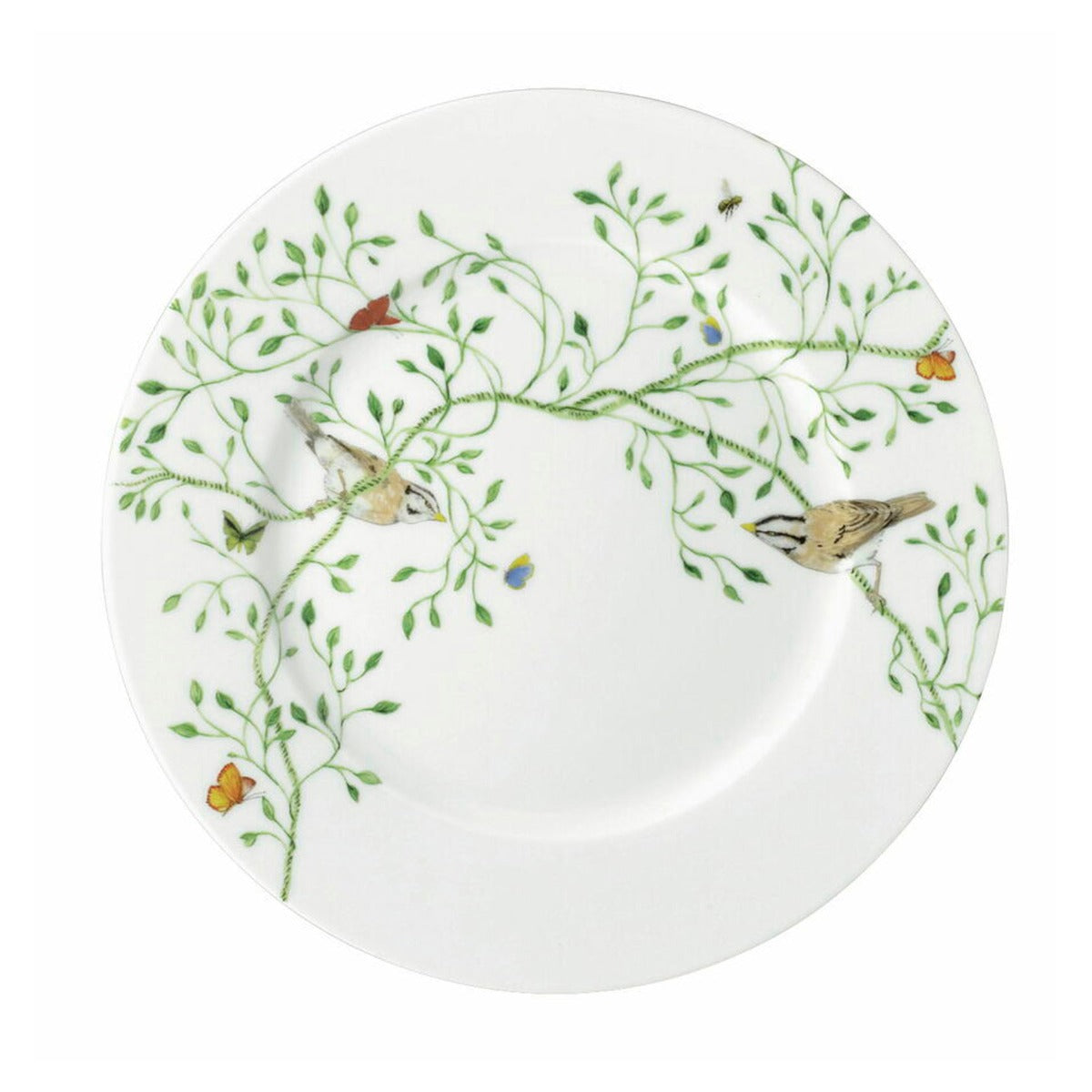 RAYNAUD LIMOGES Histoire Naturelle プレート Raynaud Histoire Naturelle Rim Flat Plate – David Shuttle Ltd