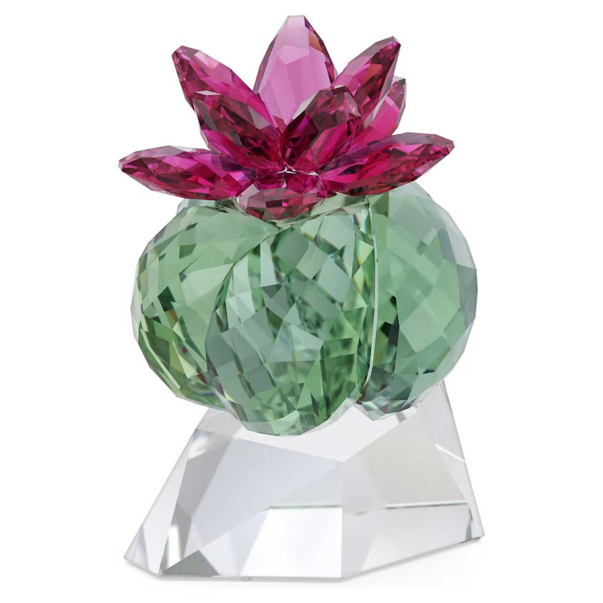 スワロフスキー 花 Crystal Flowersサボテン ボルドー 置物 Swarovski Crystal Flowers Bordeaux Cactus – David Shuttle Ltd