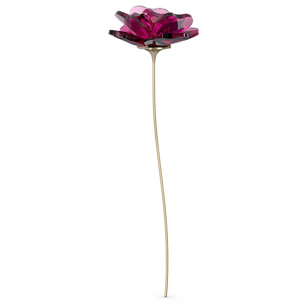Swarovski Garden Tales Rose | 5557800 – David Shuttle Ltd
