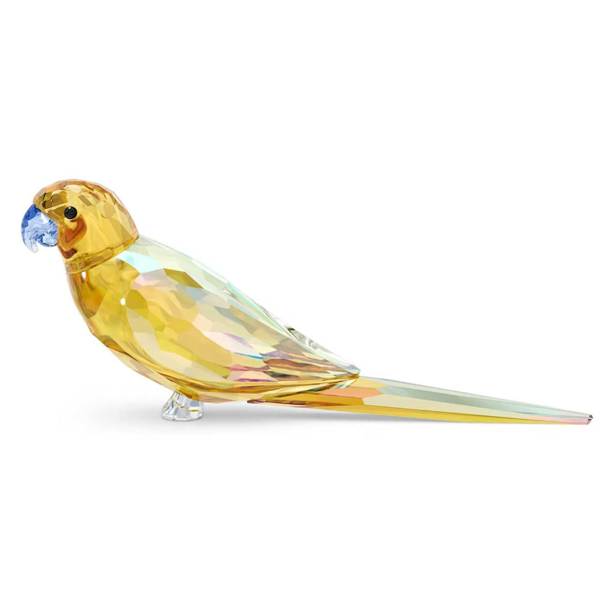 Swarovski Jungle Beats Yellow Parakeet Lechee – David Shuttle Ltd