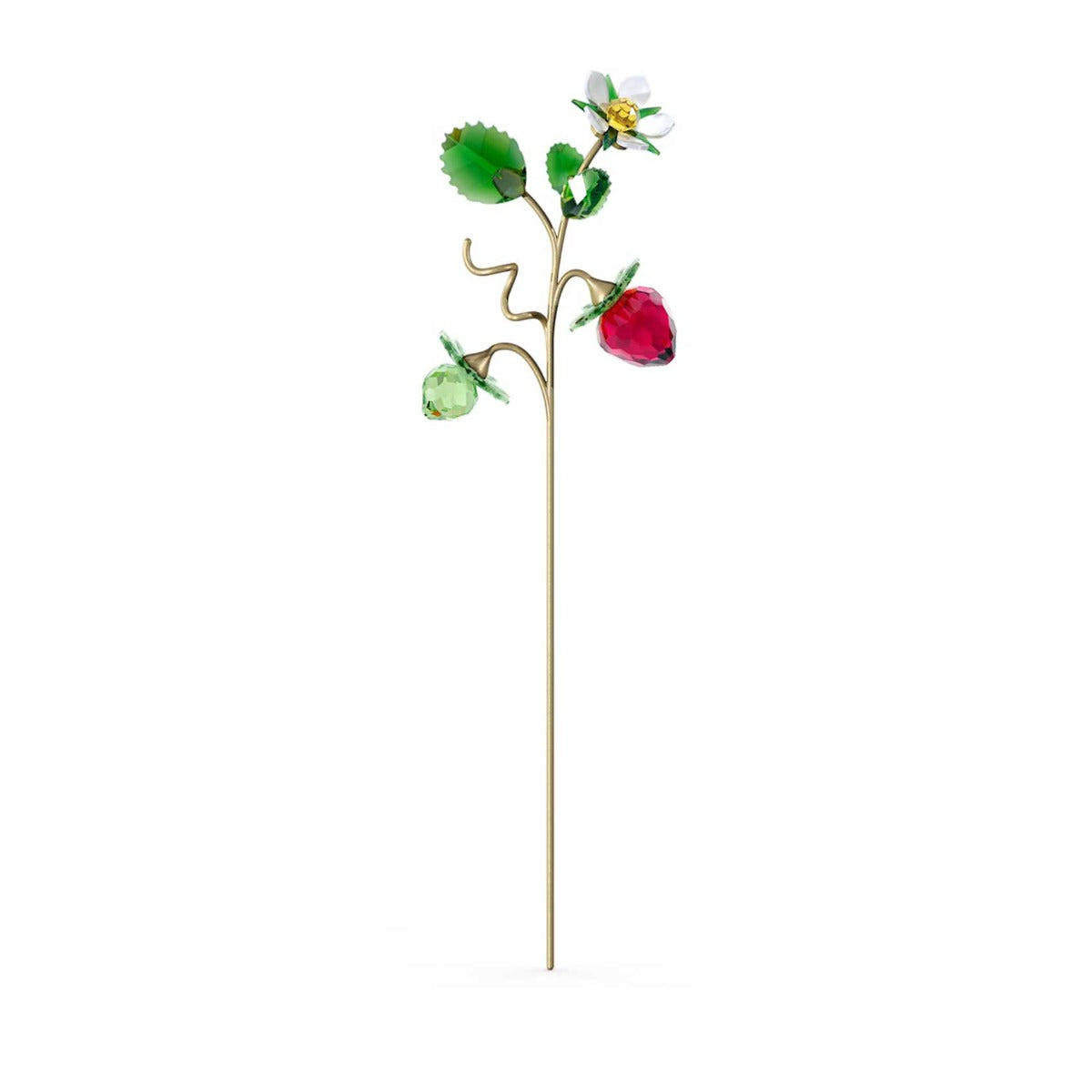 Swarovski Garden Tales Wild Strawberry – David Shuttle Ltd