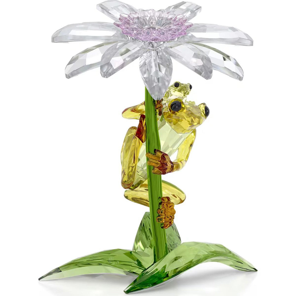 新作新品 SWAROVSKI スワロフスキー Idyllia花 L 置物 お花 Swarovski Idyllia Frogs and Flower – David Shuttle Ltd