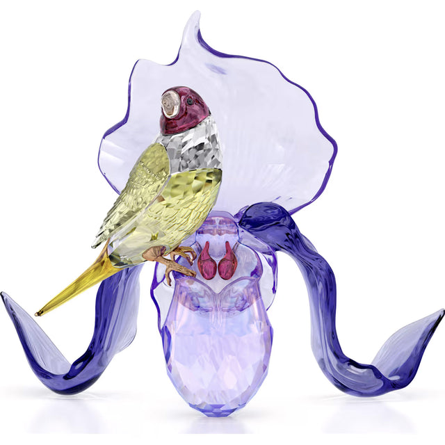 Swarovski Idyllia Gouldian Finch and Orchid