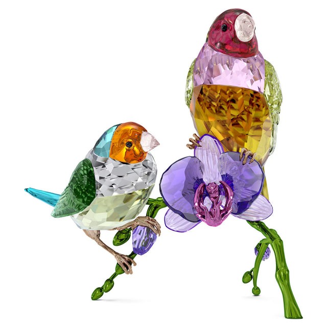 Swarovski Crystal Society  Idyllia Annual Edition 2024 Gouldian Finches
