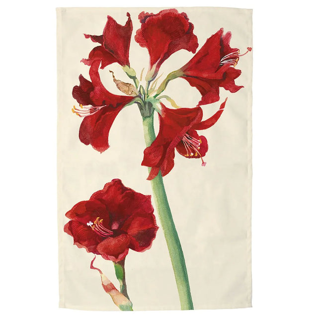 Emma Bridgewater Amaryllis Tea Towel