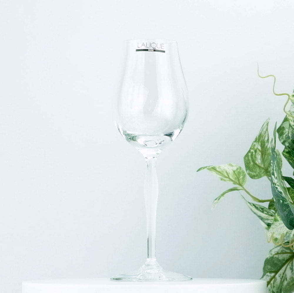 Lalique 100?Points Longdrink Tumbler Glasses by James Suckling、ペア 並行輸入品