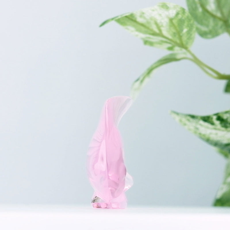 Lalique Pink Fish with plants in the background