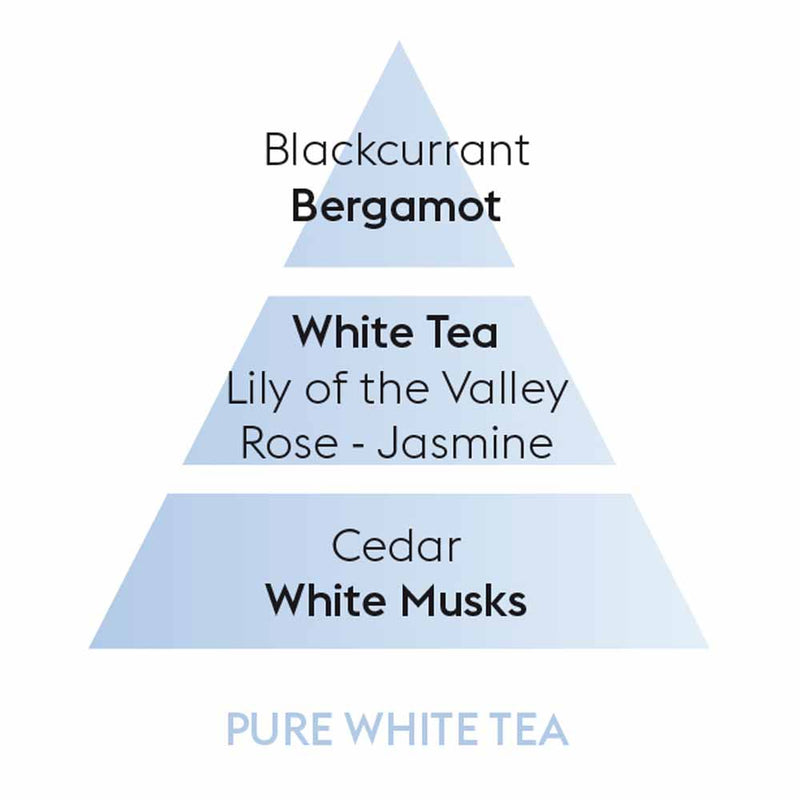 Maison Berger Pure White Tea Perfume Notes