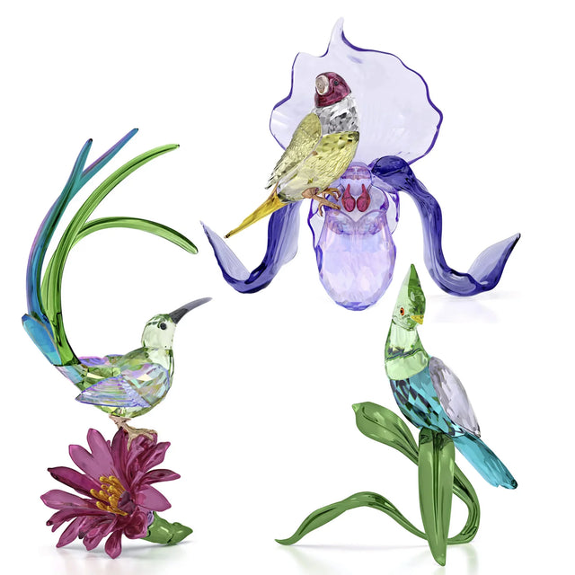 Swarovski Idyllia Birds of Paradise Set