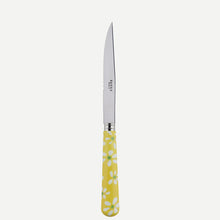 Steak Knives
