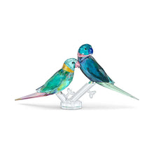 Swarovski Summer Sale