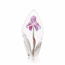 Flora