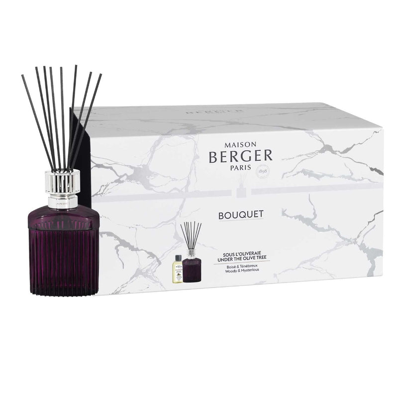 Maison Berger Imperial Scandalous Plum Alpha Diffuser Set