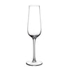Villeroy & Boch Purismo Specials Champagne Flute (Single Glass)