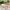 Villeroy & Boch Purismo Specials Champagne Flute, Set of 4