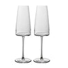 Villeroy & Boch MetroChic Champagne Glass, Set of 2