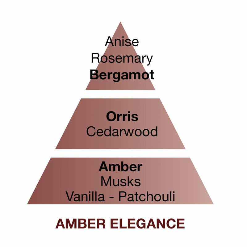 Maison Berger Amber Elegance Perfume Notes