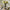 Mackenzie-Childs Courtly Check Ceramic Great Vase