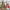 Villeroy & Boch Christmas Toys Memory Santa
#2