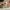 Villeroy & Boch Annual 2026 Christmas Edition Mug