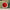 Villeroy & Boch Annual 2026 Christmas Edition Ball