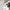 Villeroy & Boch Winter Glow Ornament Angel
#2