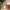 Villeroy & Boch Christmas Classics Christmas Ornaments, Tree
