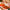Le Creuset Signature Cast Iron Shallow Casserole 26cm Volcanic