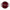 Le Creuset Signature Cast Iron Shallow Casserole 26cm Garnet