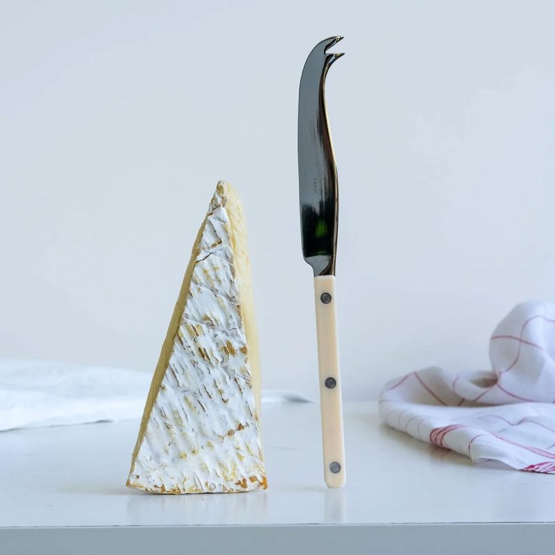 Sabre Bistrot Shiny Solid Ivory 24cm Large Cheese Knife