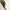 Sabre Bistrot Shiny Camouflage Green 24 Pieces Cutlery Set, 024
