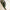 Sabre Bistrot Shiny Camouflage Green 24 Pieces Cutlery Set, 041