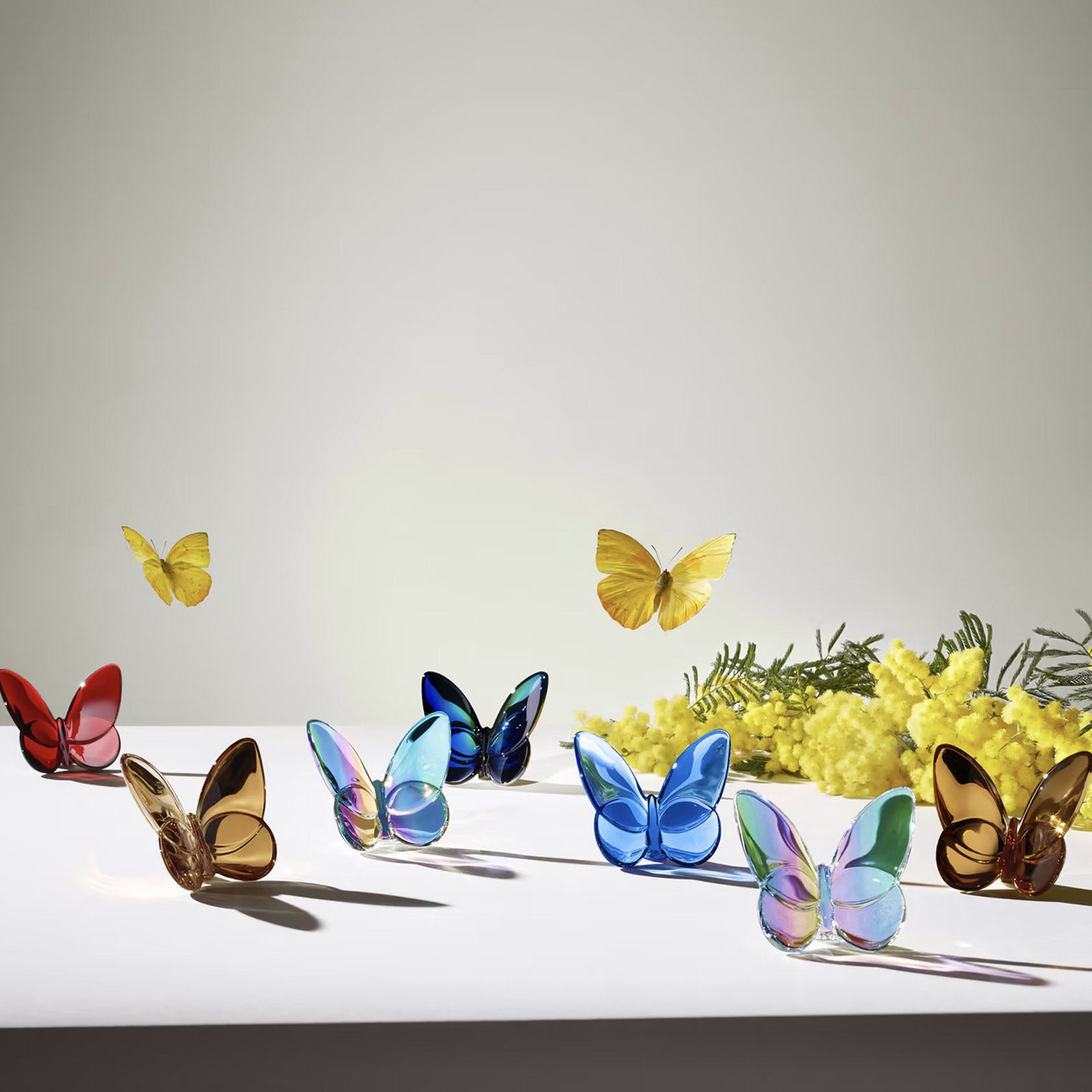 新品 Baccarat クリスタル ラッキーバタフライ BLACK パピヨン Papillon Lucky Butterfly Black – Current Home NY