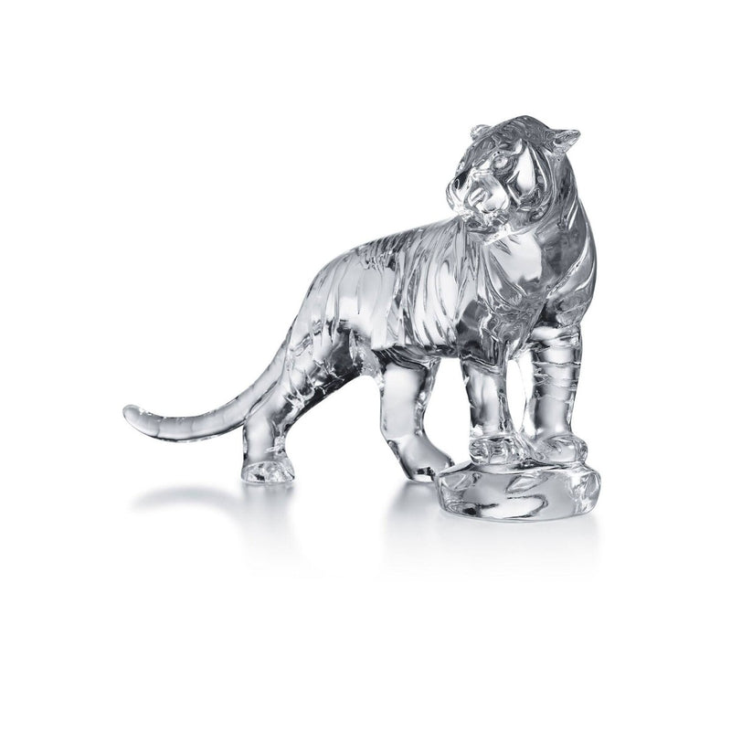 Baccarat Roaring Bengal #2