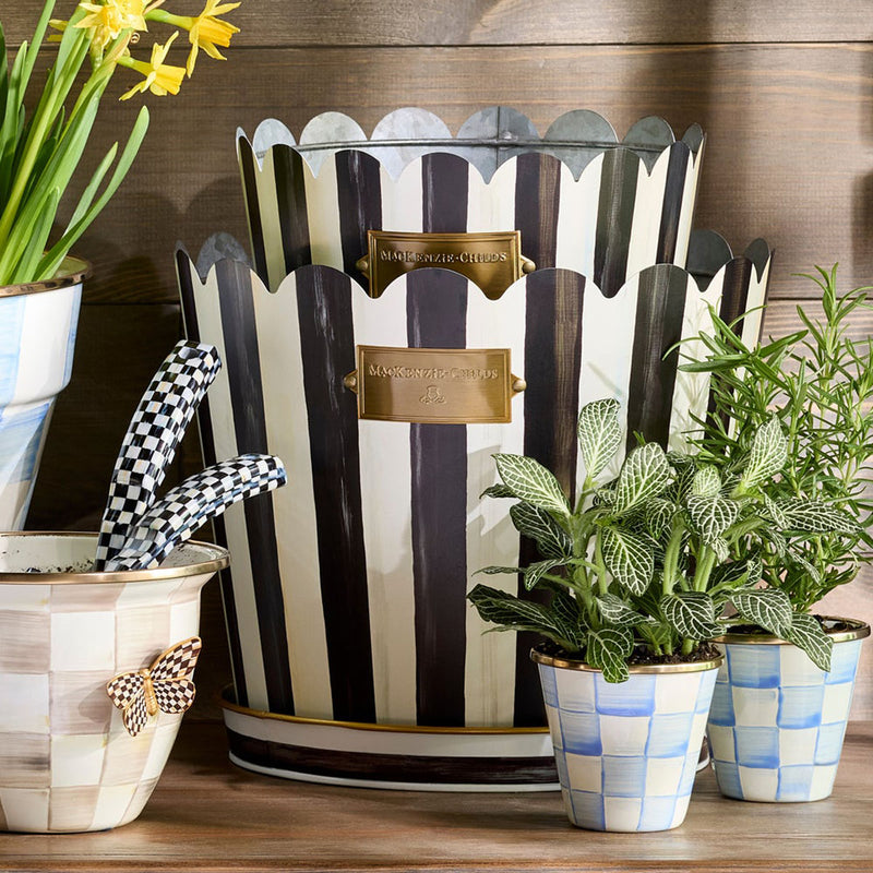 Mackenzie-Childs Courtly Stripe Pots & Saucers, Set of 3