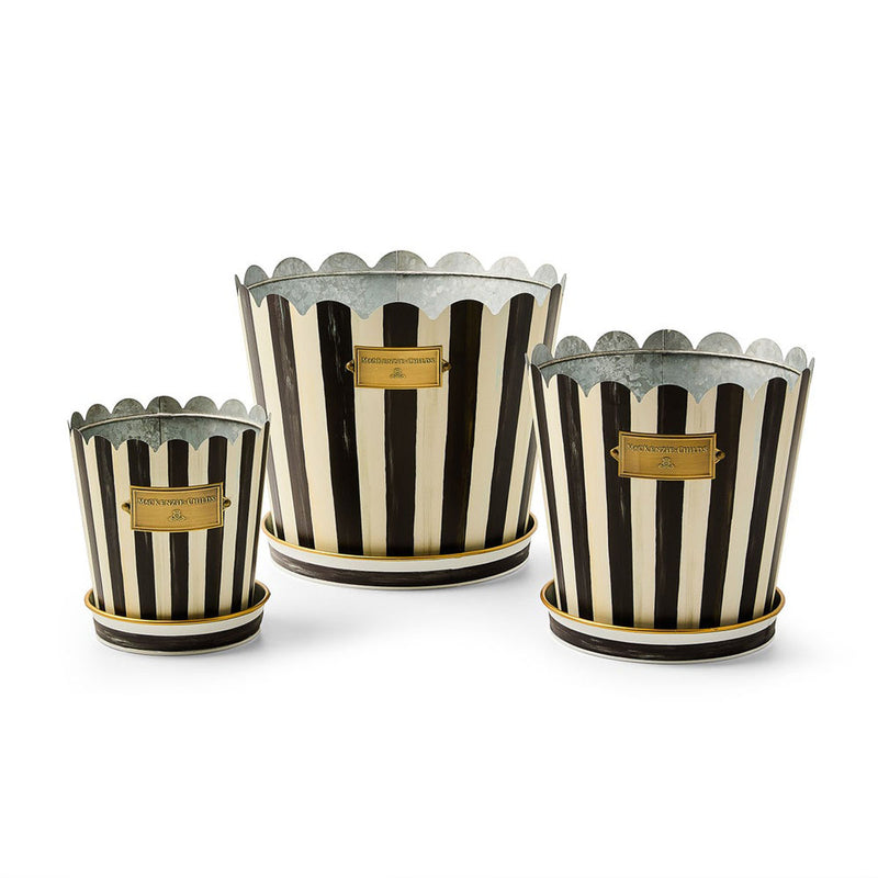Mackenzie-Childs Courtly Stripe Pots & Saucers, Set of 3