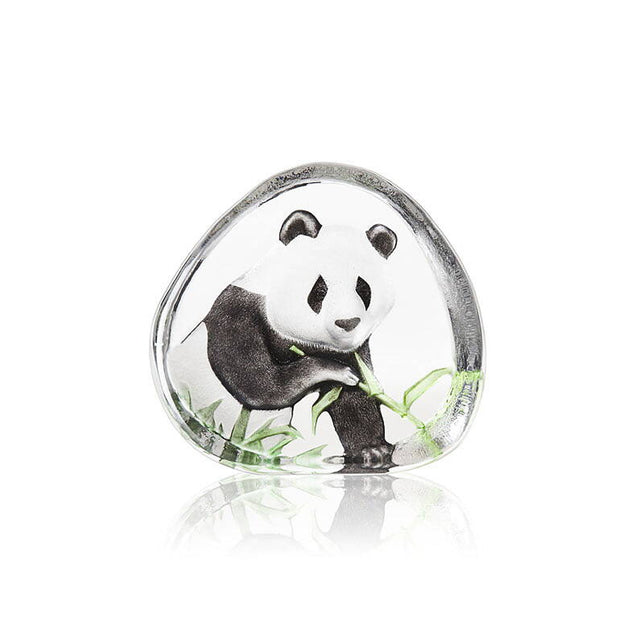 Maleras Panda