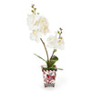 Mackenzie-Childs Cardinal Toile Small Orchid