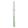Sabre White Stripe Garden Green 24cm Dinner Knife