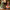 Villeroy & Boch Nostalgic Melody Christmas Tree Turning