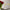 Riedel Veloce Champagne Wine Glass, Buy 3 Get 4