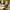 Riedel Veritas Champagne Wine Glass, Buy 3 Get 4