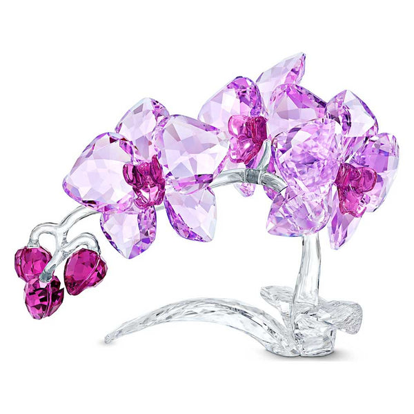 Swarovski Crystal Flowers Orchid – David Shuttle Ltd