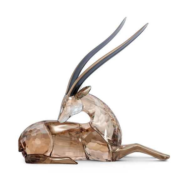 Swarovski African Sunset Gazelle Jabali – David Shuttle Ltd