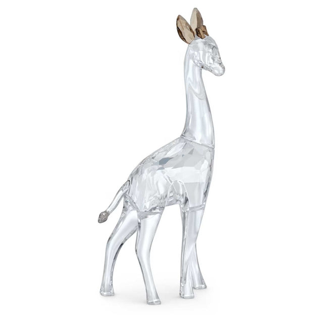 Swarovski African Sunset Giraffe Nohea
