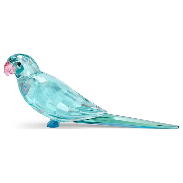 Swarovski Jungle Beats Blue Parakeet – David Shuttle Ltd