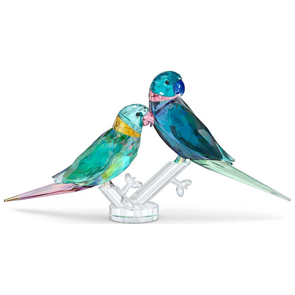 Swarovski Jungle Beats Parakeet Couple – David Shuttle Ltd