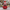 Swarovski Holiday Cheers Santa Claus