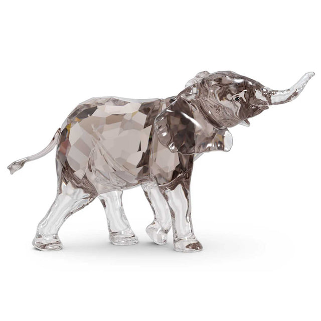 Swarovski Crystal Society Elegance of Africa Elephant Baby Mandisa